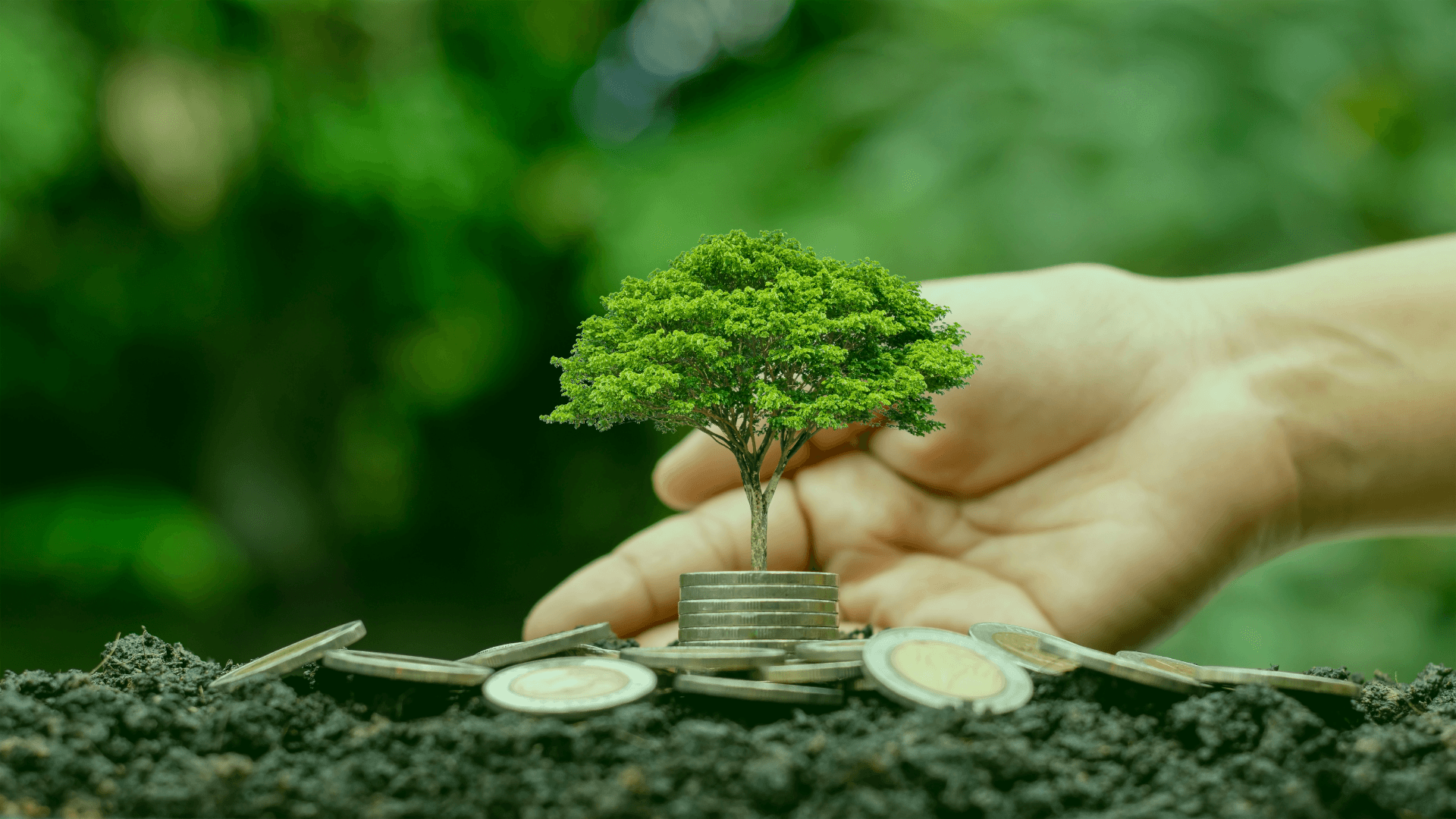 acciones con mejores dividendos filtro combinado de rentabilidad y payout ratio