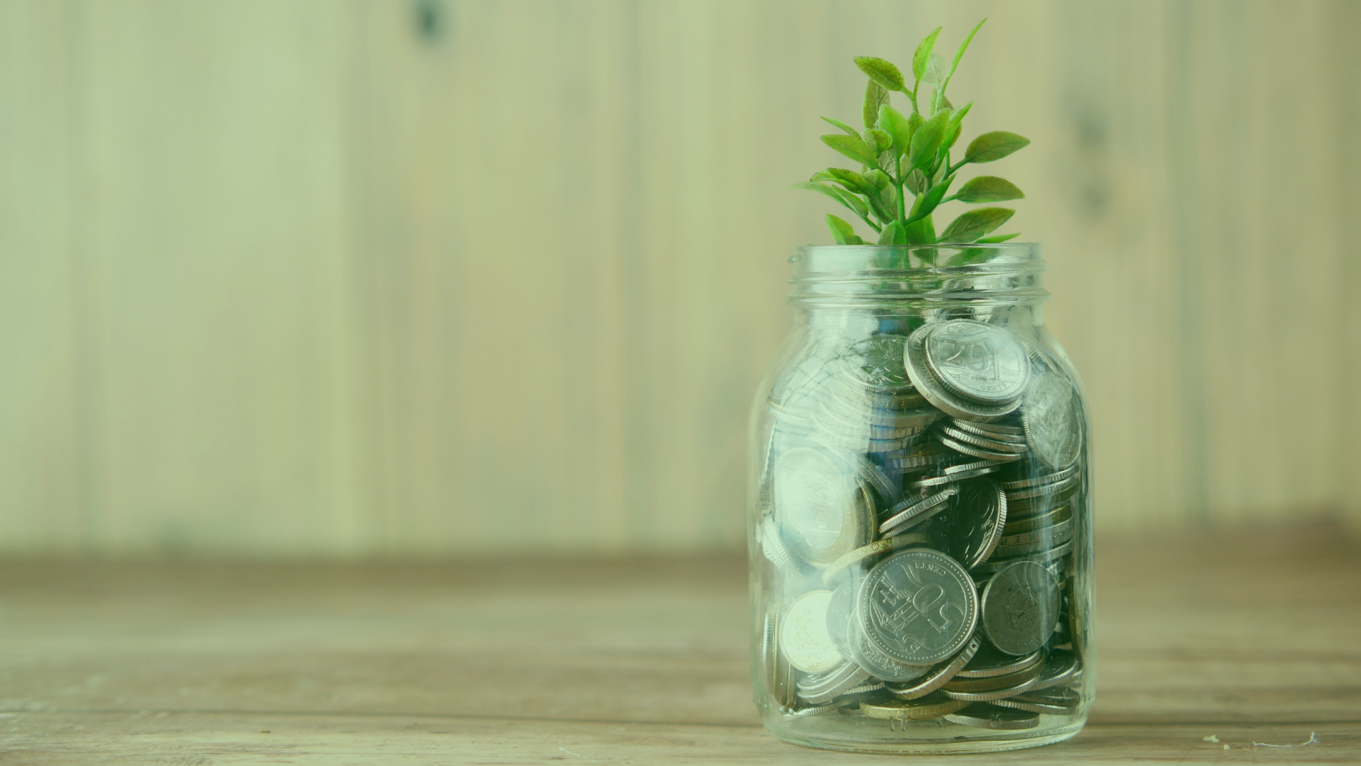 Aktien finden Tool