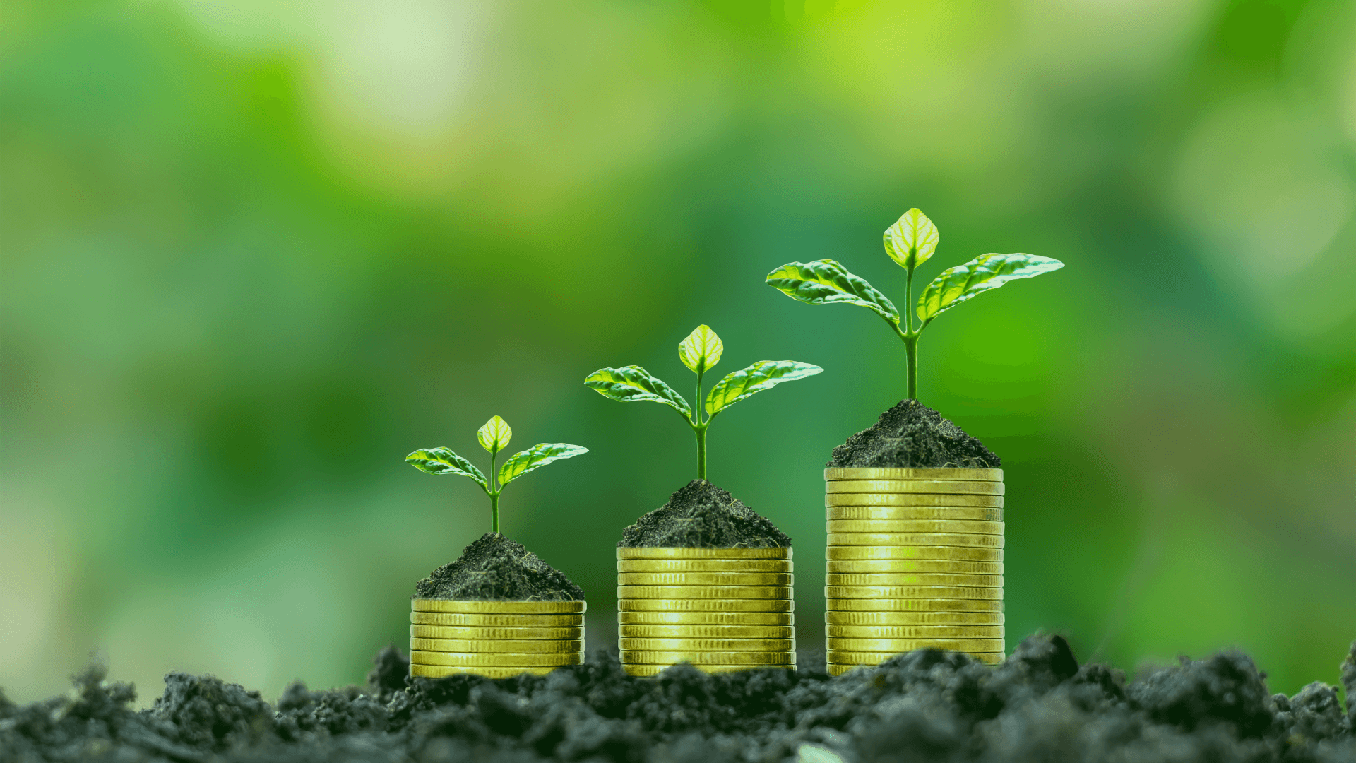 best apps for beginner investors dividend filter showing yield and payout consistency