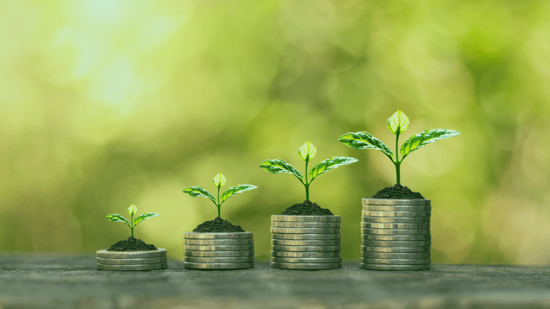 comparador de acciones crecimiento ingresos versus dividendo rentabilidad estrategia inversor Belegget