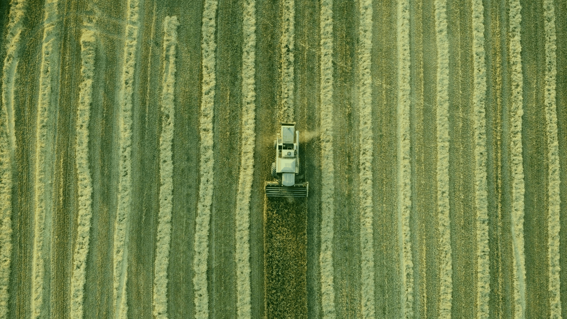 en que invertir en Argentina sectores agro litio y fintech con mayor potencial de crecimiento