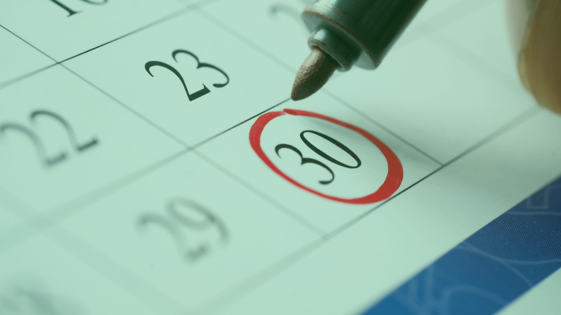 Value investing stock screener supporting long-term patient investment approach